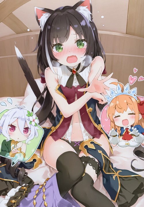 [ߥΥƥ (˥ө`)]èˤӤˤʤ󤫽~ؓʤ!11P