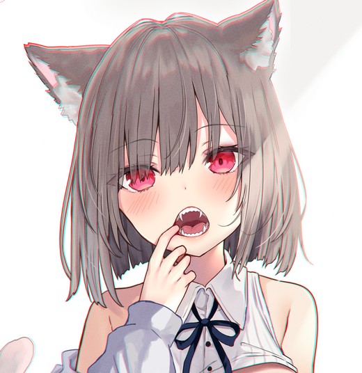 ʦˤfanboxϼ110P545M