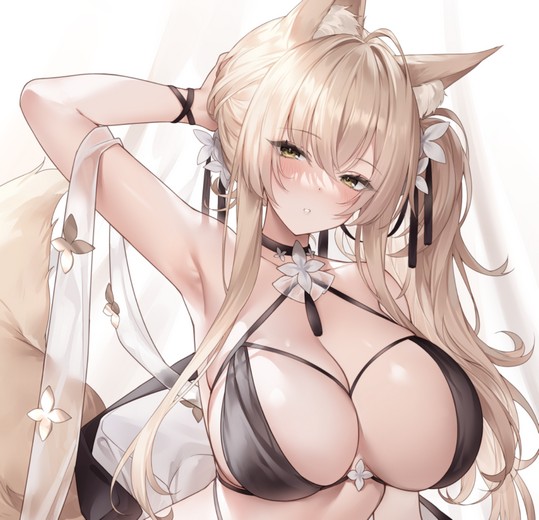ʤˤ ʦfanboxϼ175P293M