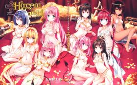 Harem Gold [ʸ̫]To LOVEDȤ֤D `ͥ