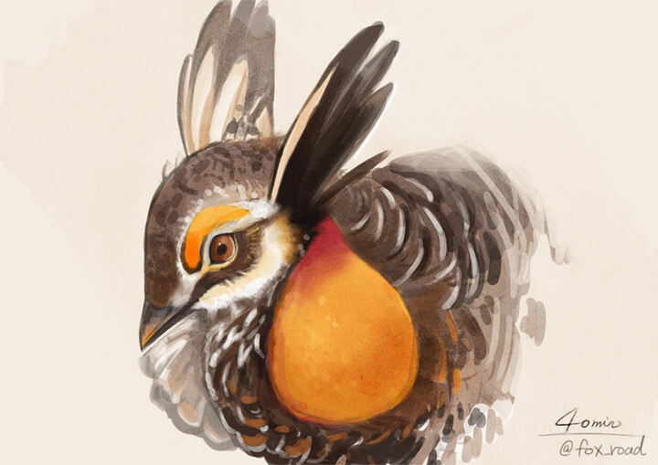 óĻʦkomitiƷϼ251P